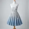 Winter Snowflake Frost Dress Free Crochet Pattern