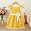 Sunny Yellow Daisy Baby Dress Free Crochet Pattern