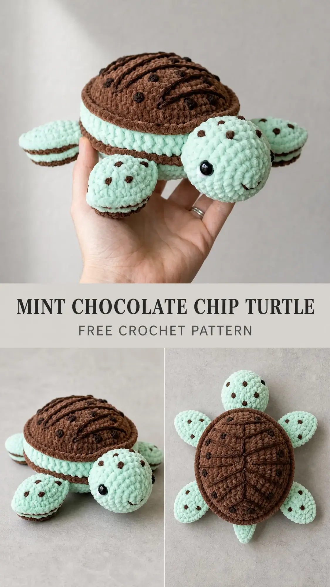 Mint Chocolate Chip Turtle Free Crochet Pattern